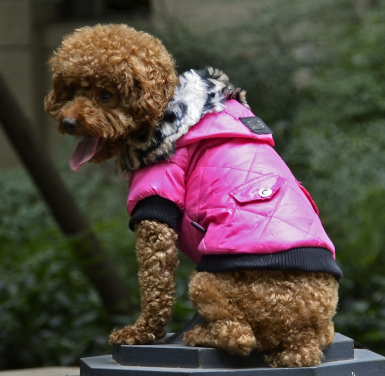 Dog Coat with Faux Fur Hood - Elegance and Warmth for Poodles