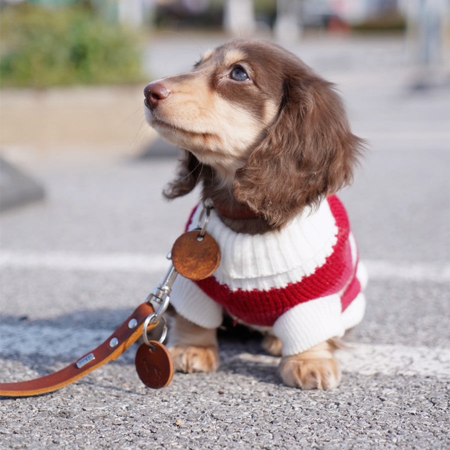 Maglioncino a Righe Bianche e Rosse per Cani – Adatto al Bassotto e Non Solo