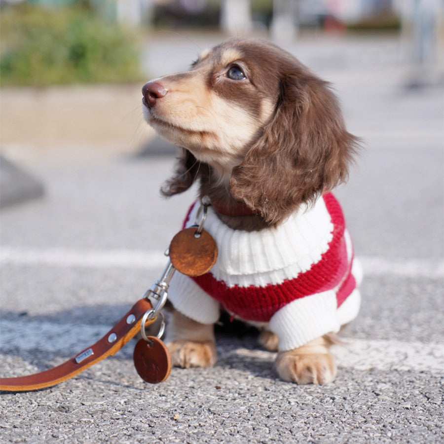 Maglioncino a Righe Bianche e Rosse per Cani – Adatto al Bassotto e Non Solo - Dog Moda