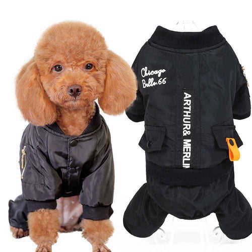 Cappotto Nero Quattro Zampe "Chicago Bulls" - Eleganza e Stile per il Tuo Cane by Dog Moda