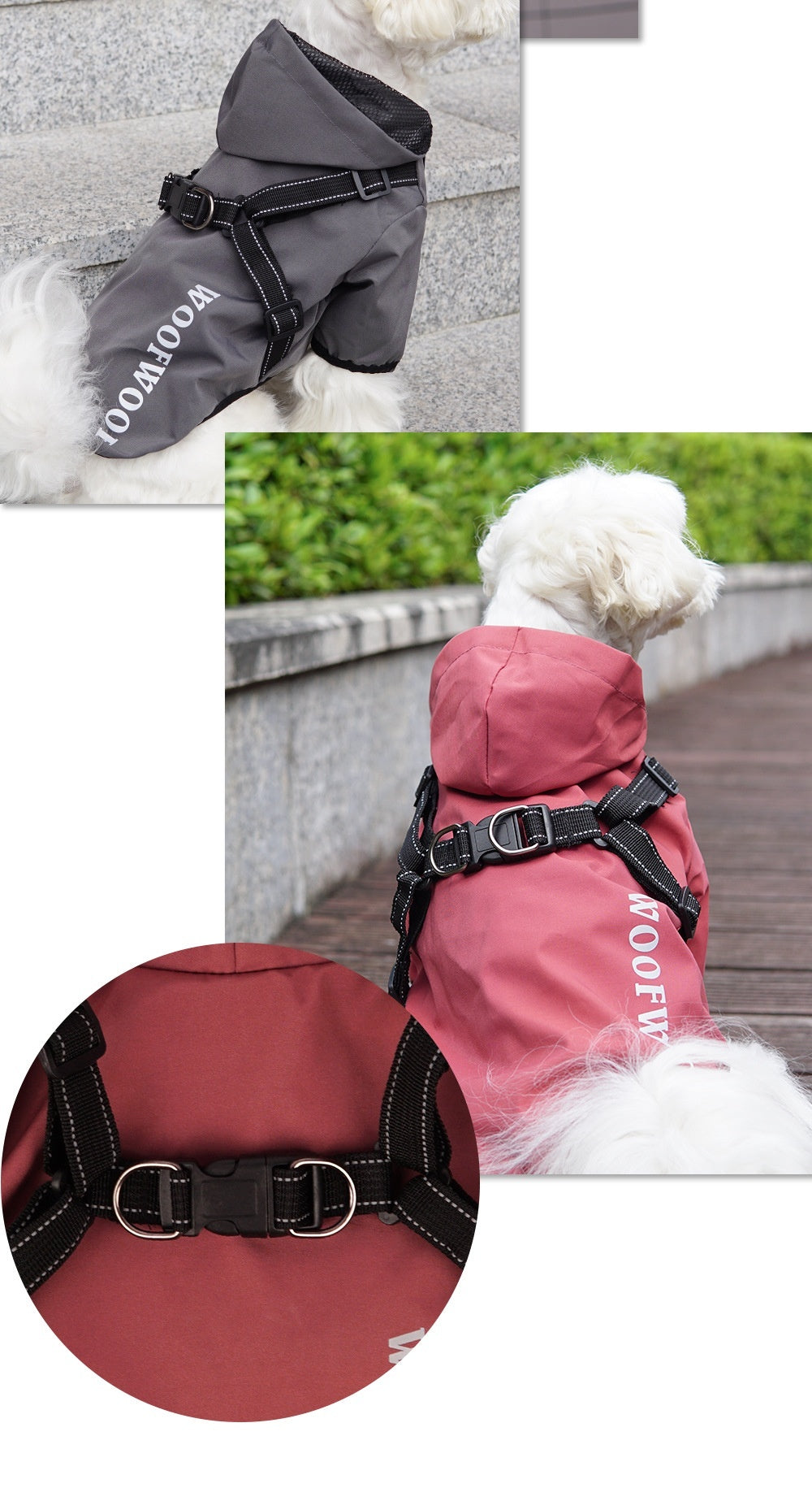 Impermeabile per Cani con Pettorina Integrata "WoofWoof" - Dog Moda