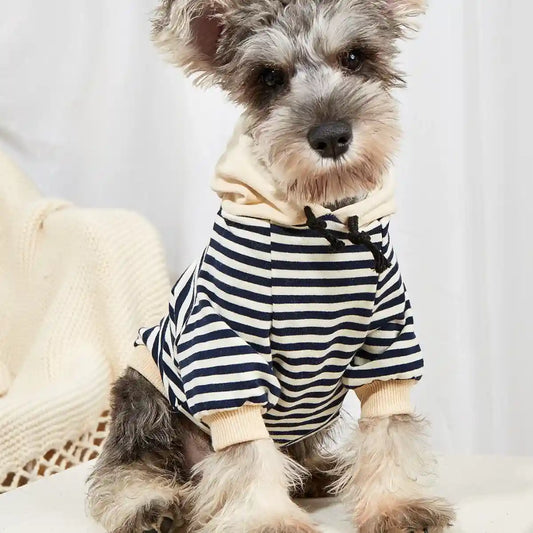 Maglione Cani Gatti Righe Cappuccio - Caldo e Trendy by Dog Moda
