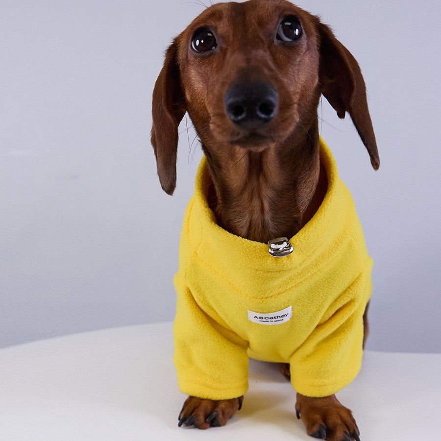 Sudadera para Perro de Forro Polar Suave y Cálido para Invierno Otoño