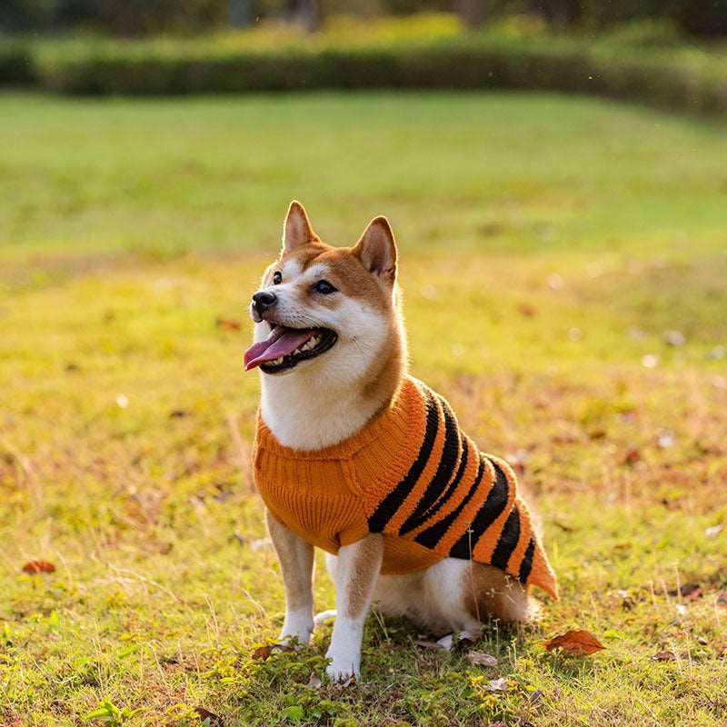 Maglioncino per Cani Halloween a Righe Arancione e Nero con Ricamo di Zucca