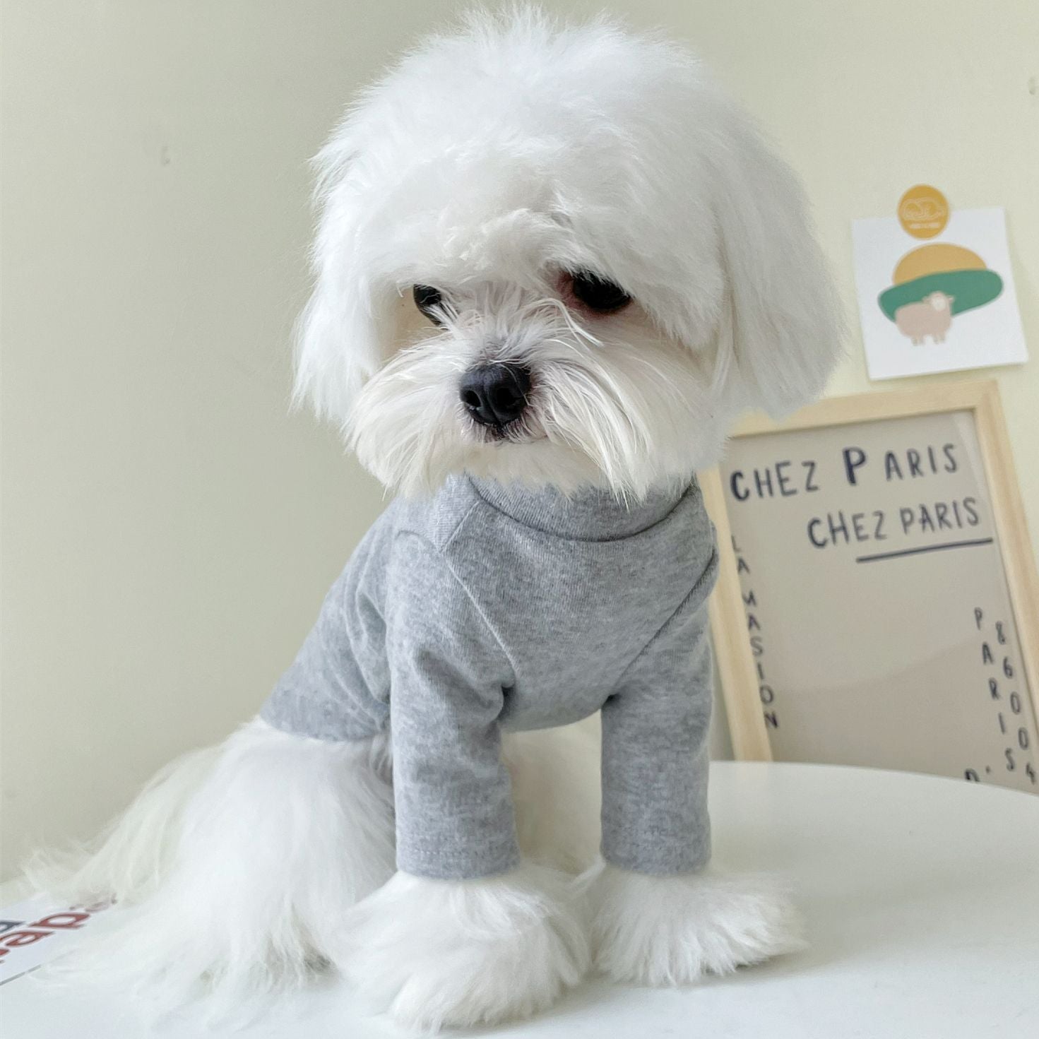Dog sweater "Paris"