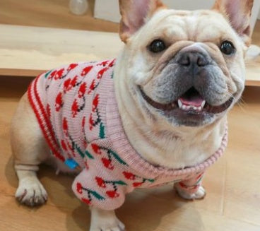 3D Santa Claus Embroidered Dog Sweater