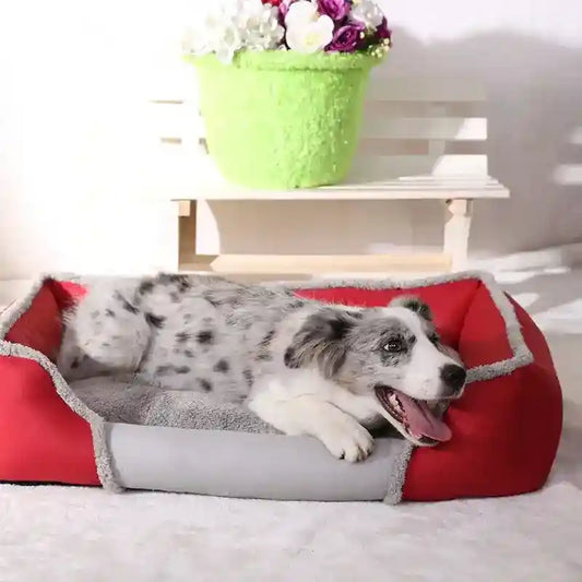Cuccia L'Osso B&B Double Face Cani Gatti 4 Stagioni by null