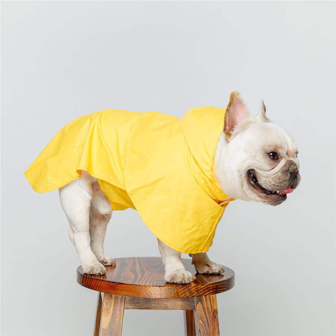 Dog raincoat with hood "Praga"