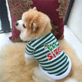 Fluffy pomeranian dog wearing green and white striped elf costume shirt sitting on beige fur rug