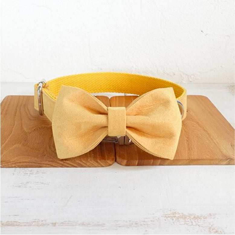 SunnyBow - Set Collare e Guinzaglio Giallo con Papillon in Nylon - Dog Moda