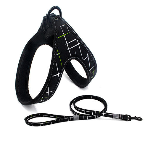 Y-shaped dog harness and leash "Variopinto" model