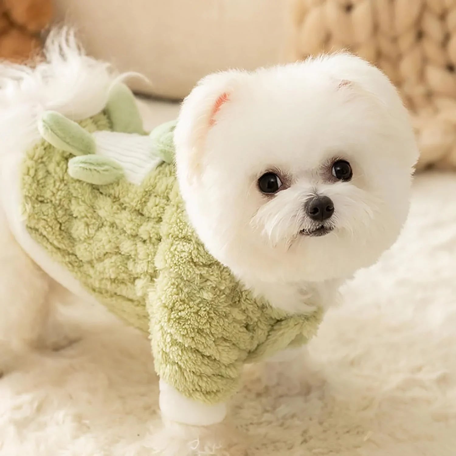 FROG Dog Sweater - Green 3D Frog with Buttons