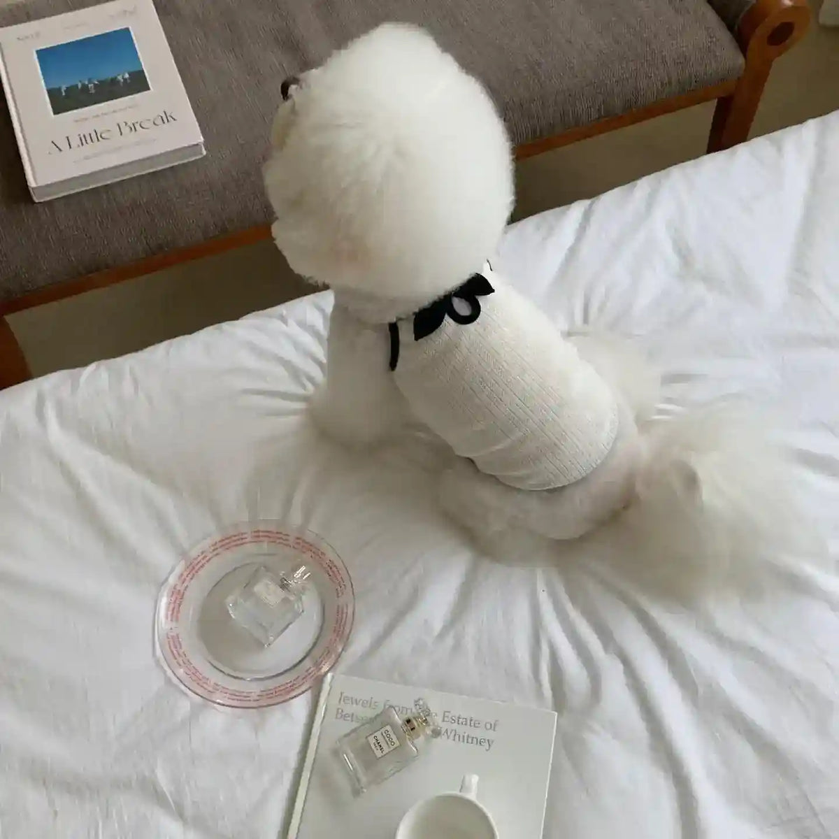 Canotta per Cani con Fiocchetto - Elegante e Comoda by Dog Moda