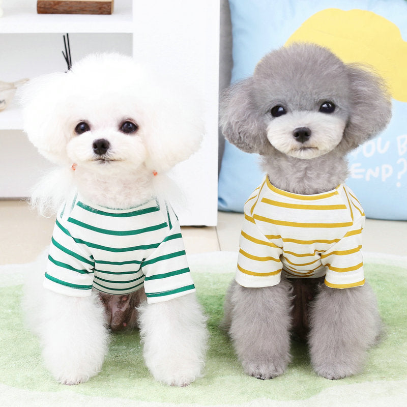 Cotton Candy Dog and Pomeranian T-Shirt