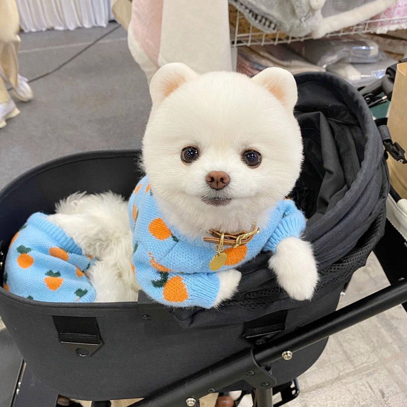 Carrot Pattern Dog Sweater 