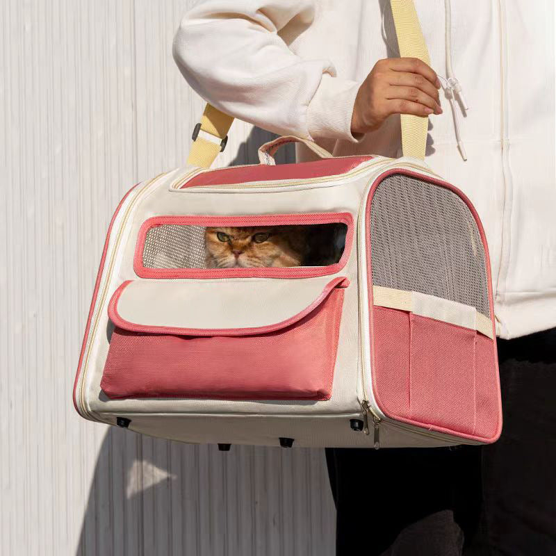 Trasportino Gatti Apertura Superiore Doppio Ingresso