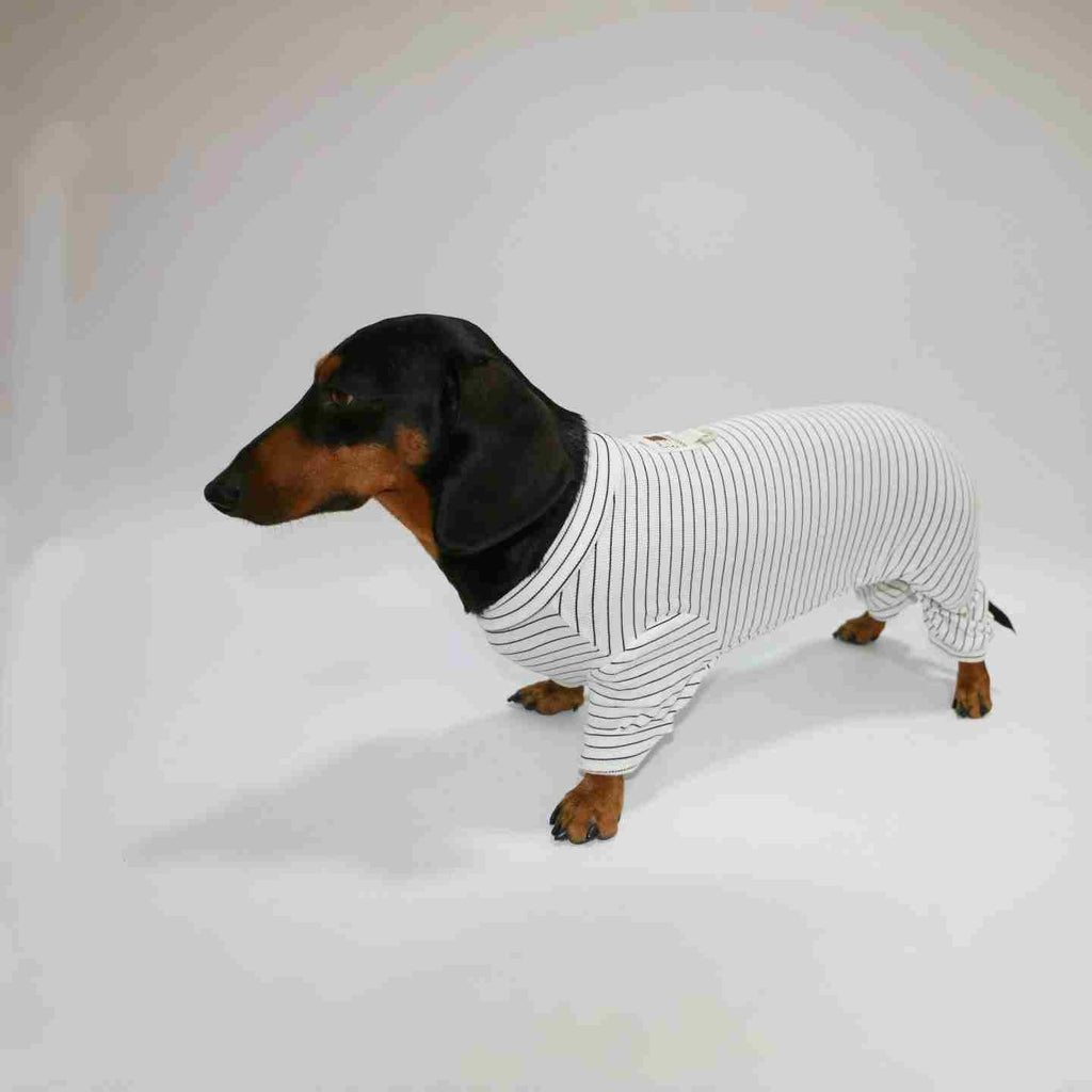 ダックスフンド用ストライプロンパース - 伸びた体のための4本足カバー