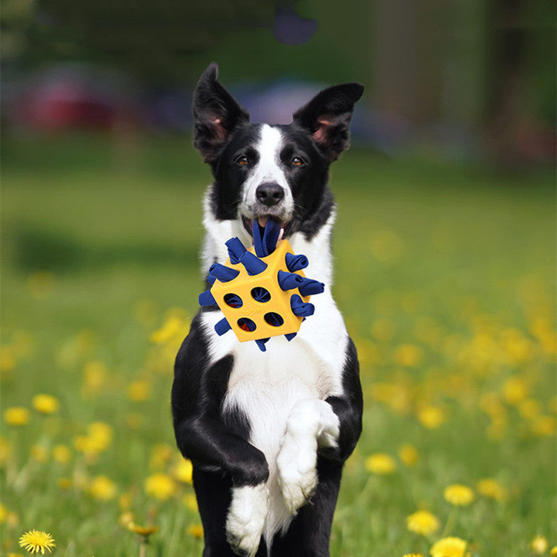 Gioco per Cani "Cubo Resistente" - Divertimento e Prensilità Perfetta - Dog Moda