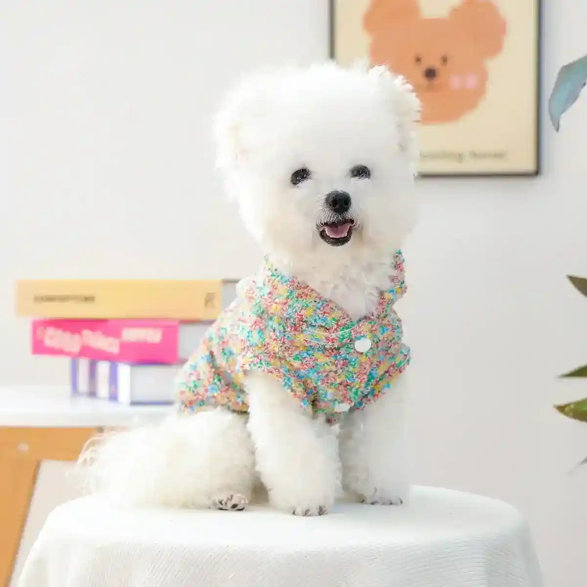 Sudadera con capucha para perros y gatos - Multicolor con pompón