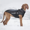 Brown dog wearing black insulated winter coat with harness in snowy outdoor setting