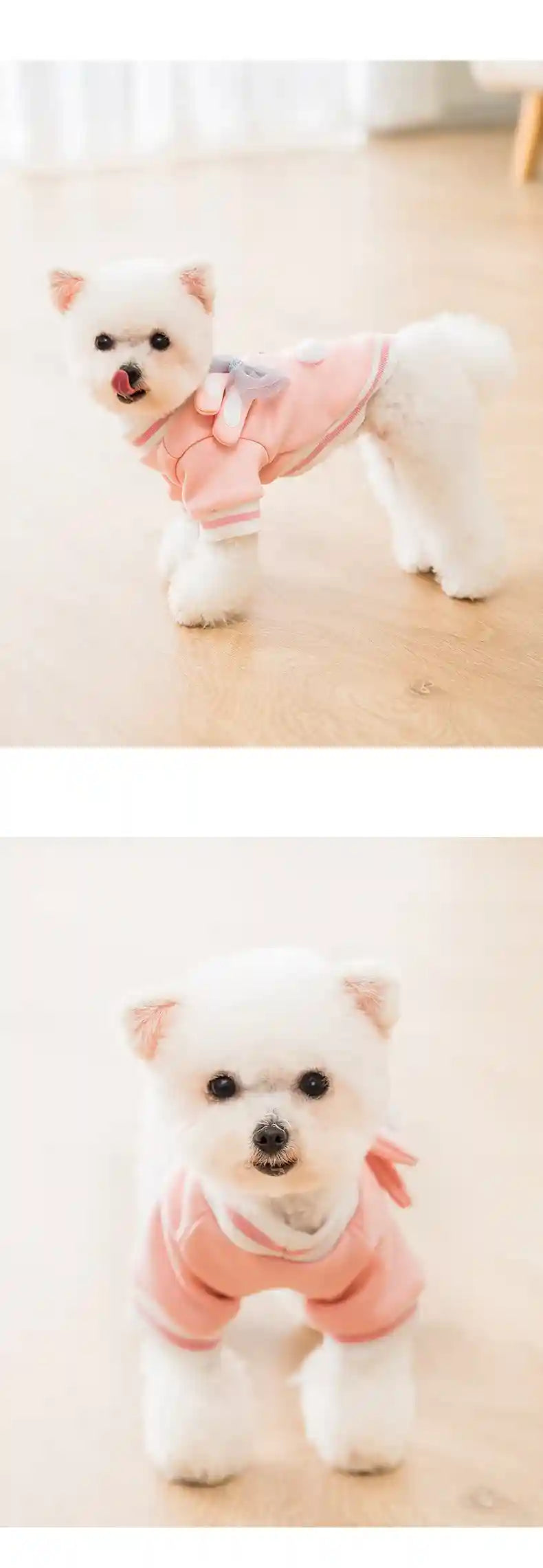 かわいいカートゥーン犬用セーター