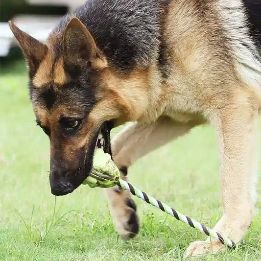 Gioco Corda Pallina Gomma Cani - Tiro Fune Interattivo by Dog Moda