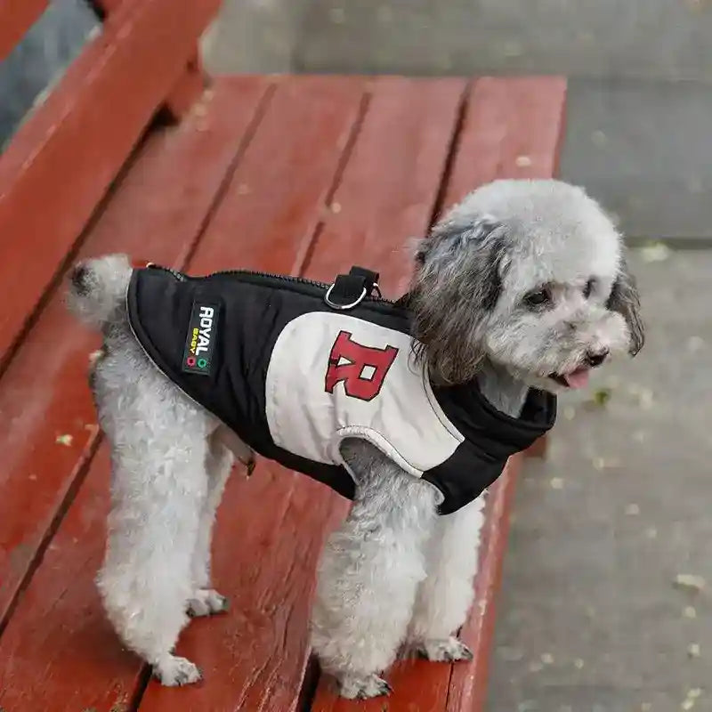 Cappotto per Cani Royal Imbottito con Zip - Impermeabile by Dog Moda
