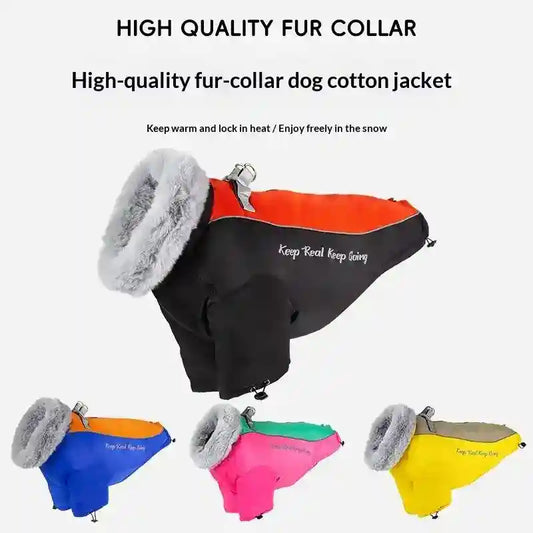 Cappotto Impermeabile Cani Grandi Aspen - Imbottito Eco by Dog Moda