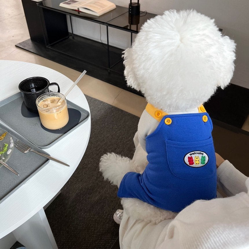 Salopette per Cani di Piccola Taglia con Bretelle – Comoda e alla Moda