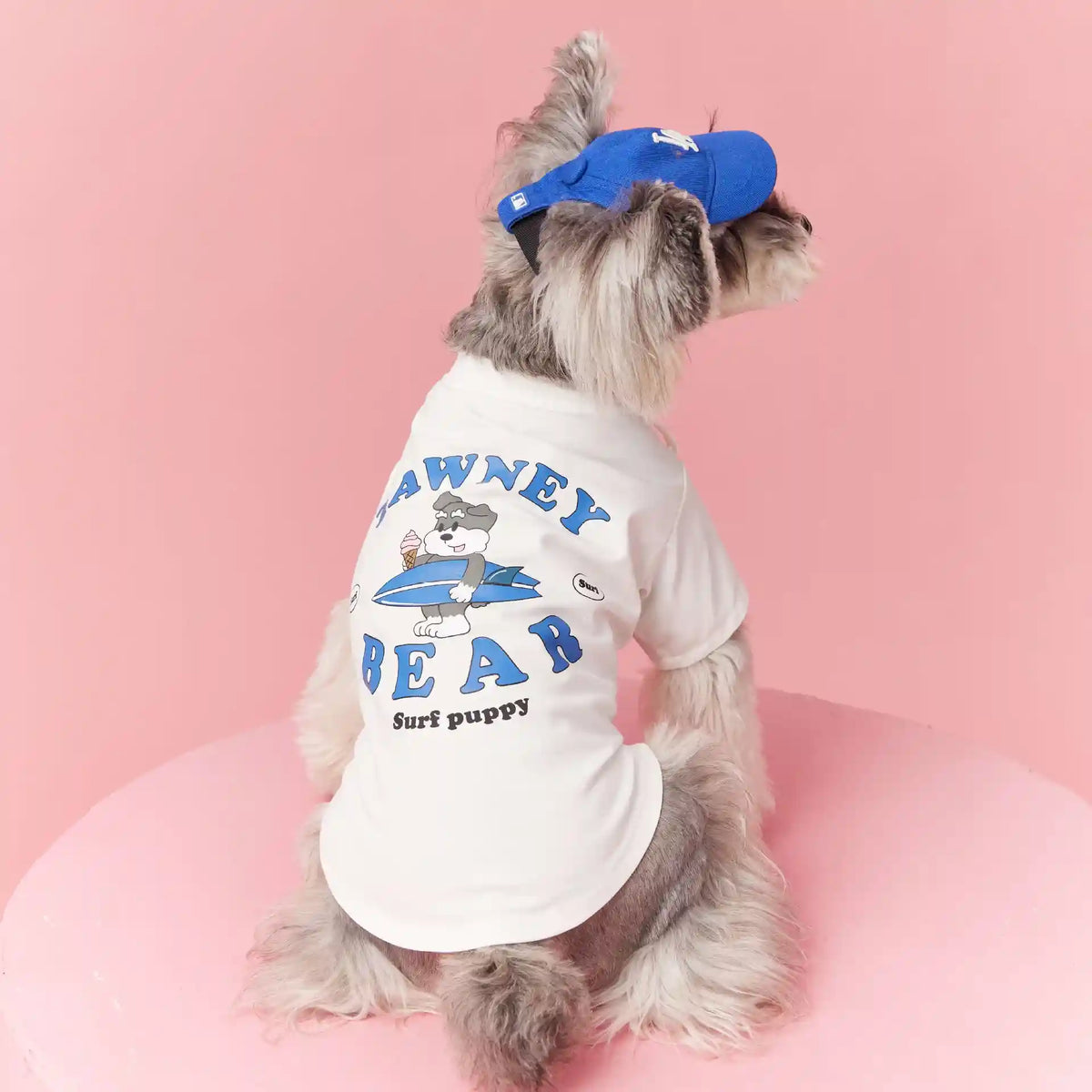 Maglia per Cani Tawney Bear con Ricamo - Vestiti Cani by Dog Moda