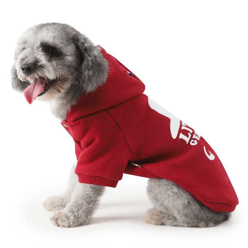 Dog Hoodie - Elegant Style "Tuba" "Little Gentle Dog"