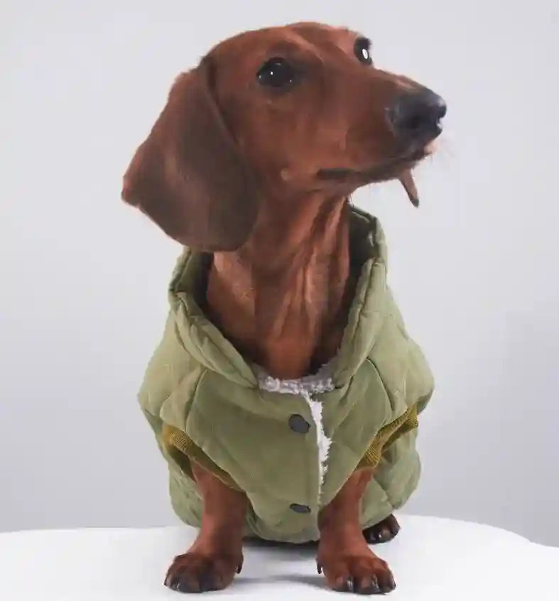 Cappotto Bassotto Dolce Trapuntato Rombi Imbottito Pile by Dog Moda