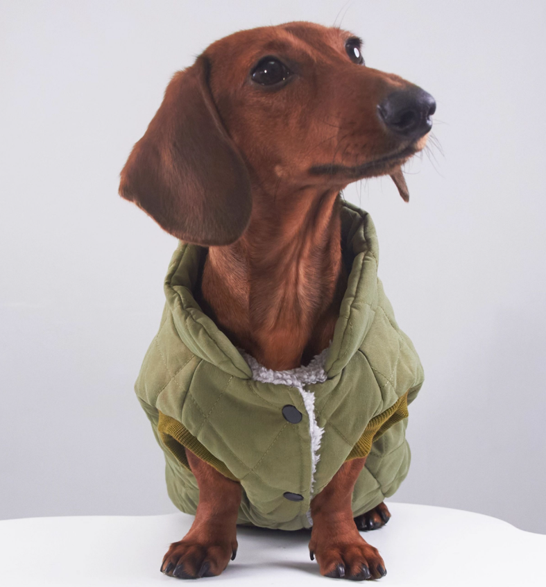 Sweet Dachshund Coat Quilted Diamond Padded Fleece