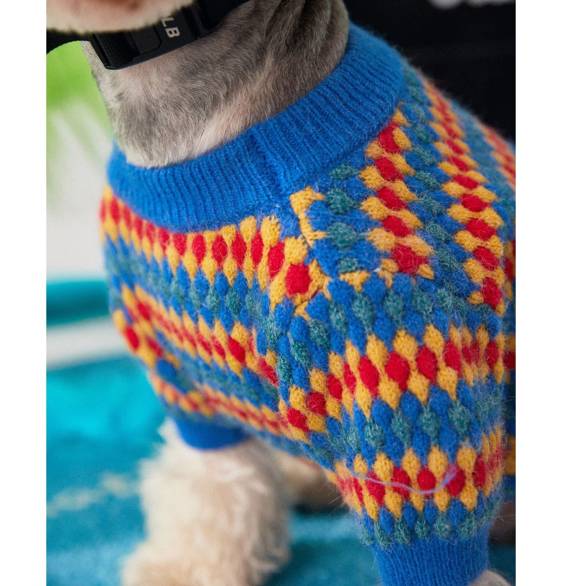 Pamplona Dog Sweater | Bright Colors and Yellow, Red and Blue Diamonds