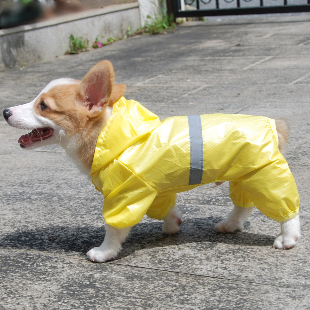 Impermeabile per Cani e Bassotto "RainStar" – Stile e Protezione per Tutti i Cani