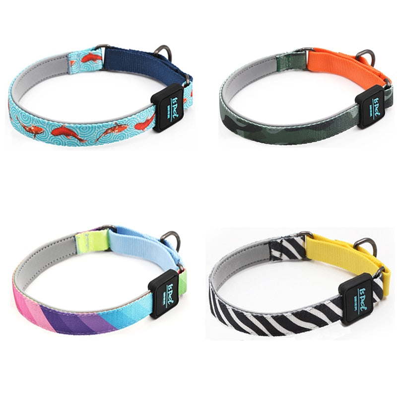 Collare Cane con Catena in Poliestere Resistente