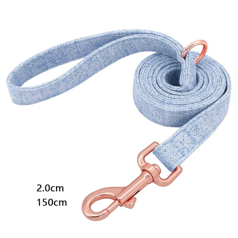 Personalisiertes Hundehalsband Candy mit Namen und Nummer – Verstellbar