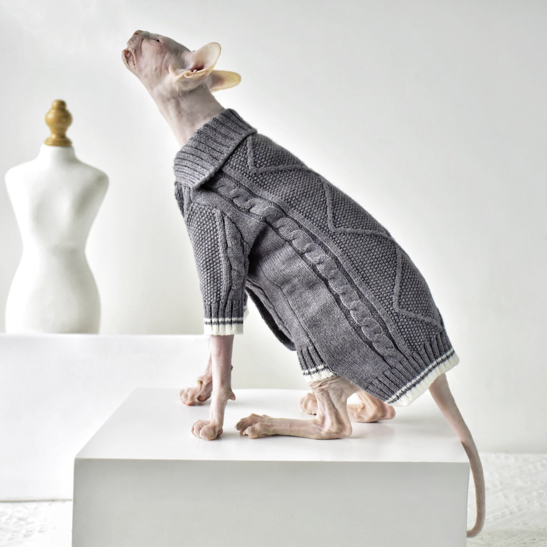 Maglione Elegante per Gatti Sphynx – Stile e Comfort per Ogni Stagione