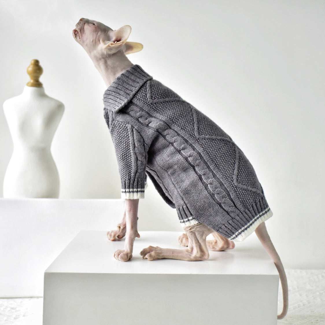 Elegant Sweater for Sphynx Cats – Style and Comfort for Every Season