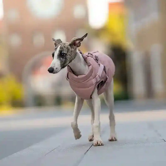 Cappotto Cani Imbottito Vogue con Pettorina Integrata by Dog Moda