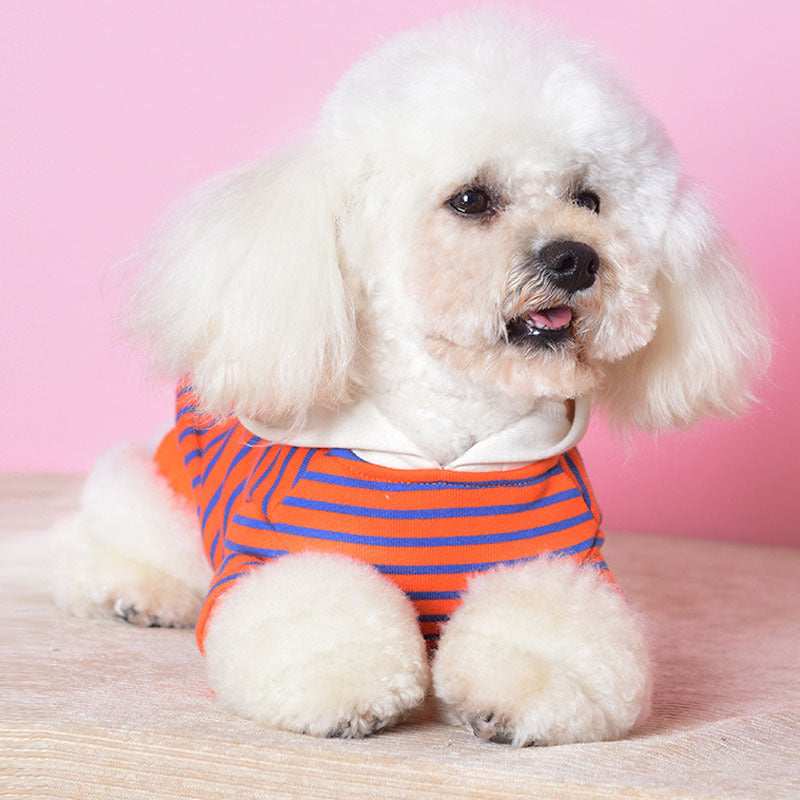 Felpina Chic a Righe per Cani - Dog Moda