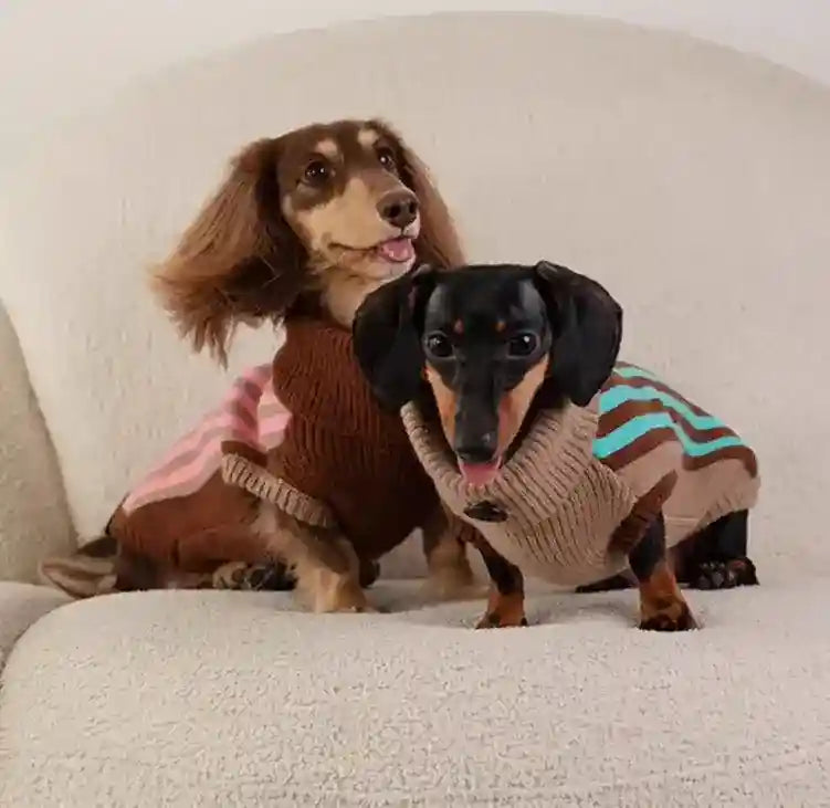 Maglione Cani Collo Alto Wiene Day - Caldo e Trendy by Dog Moda