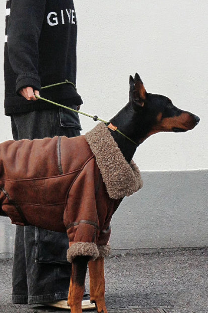 Giacca Jeans per Cani con Collo in Pile - Caldo e Stiloso