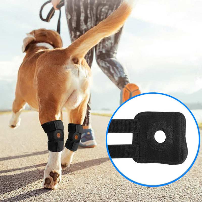 Ginocchiere per Animali Domestici - Supporto per Articolazioni e Recupero Infortuni - Dog Moda