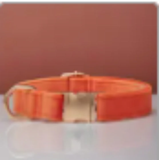 Personalisiertes Hundehalsband mit Namen und Nummer – Weicher Stoff