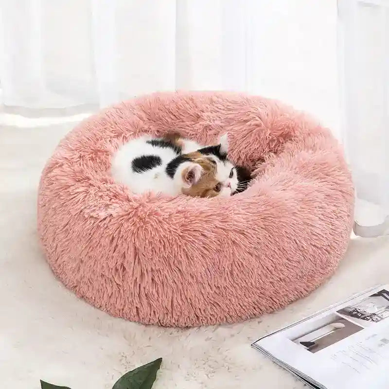 Cuccia Tonda Pile Cani Gatti Imbottita Antiscivolo by Dog Moda