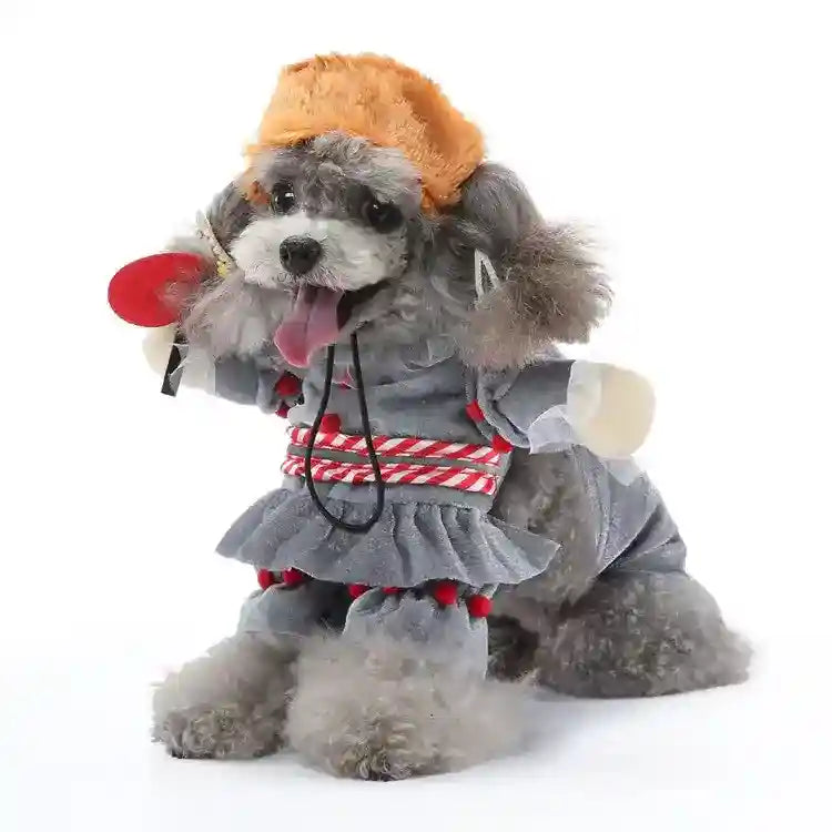 Costumi Cani Cartoni Animati - Pippo Pluto Joker Pingu by Dog Moda