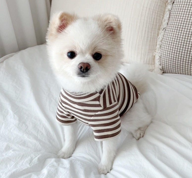 "Sunny Side" Striped Dog Shirt