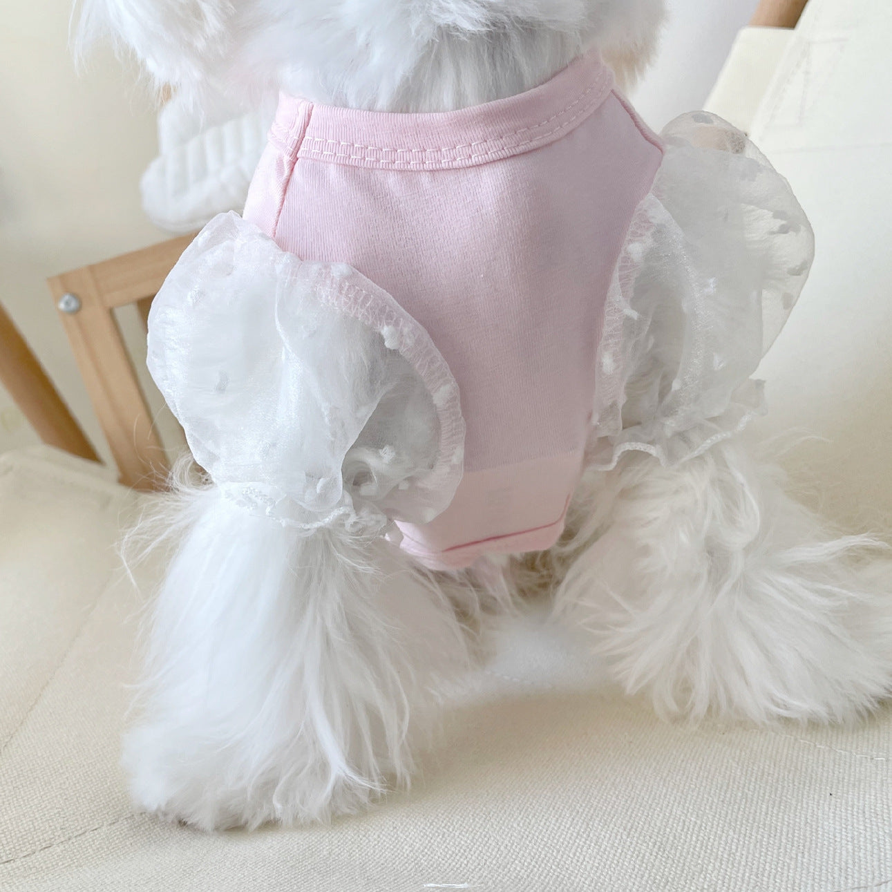 Elegantes Kleid für Hunde mit Tüllärmeln