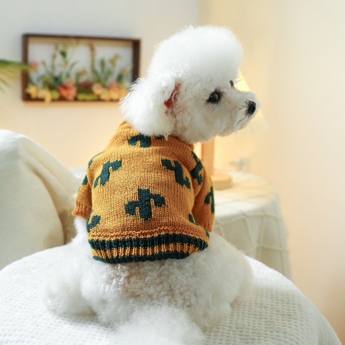 Pull pour chiens brodé - motifs ours, cactus et basketball